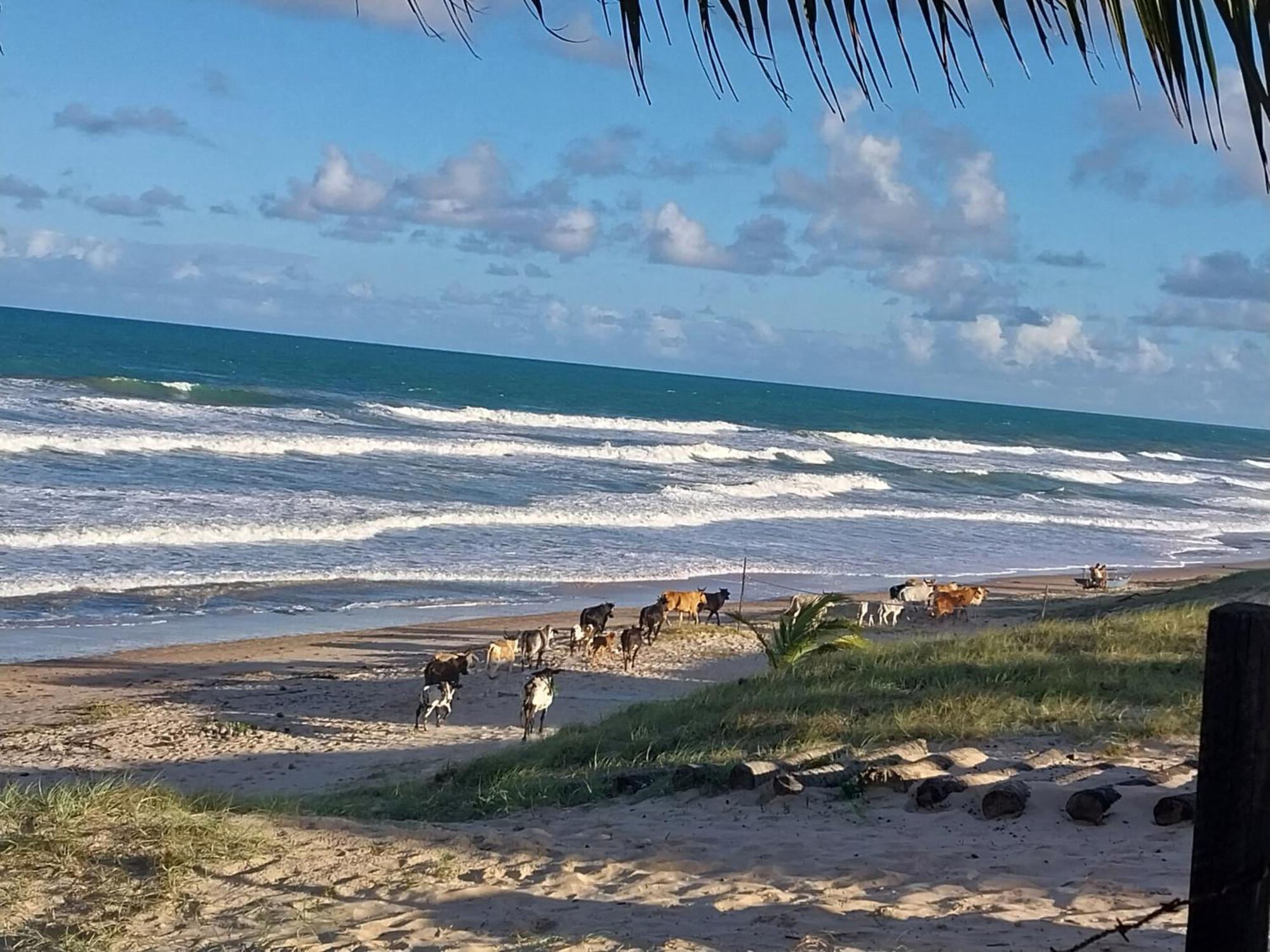 Pousada Marinheiro Sítio Buitenkant foto